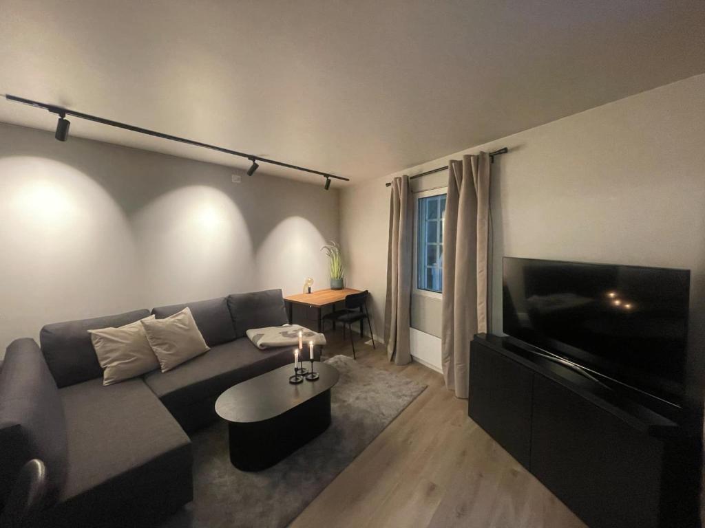 Χώρος καθιστικού στο Newly renovated apartment in the middle of Trondheim city centre