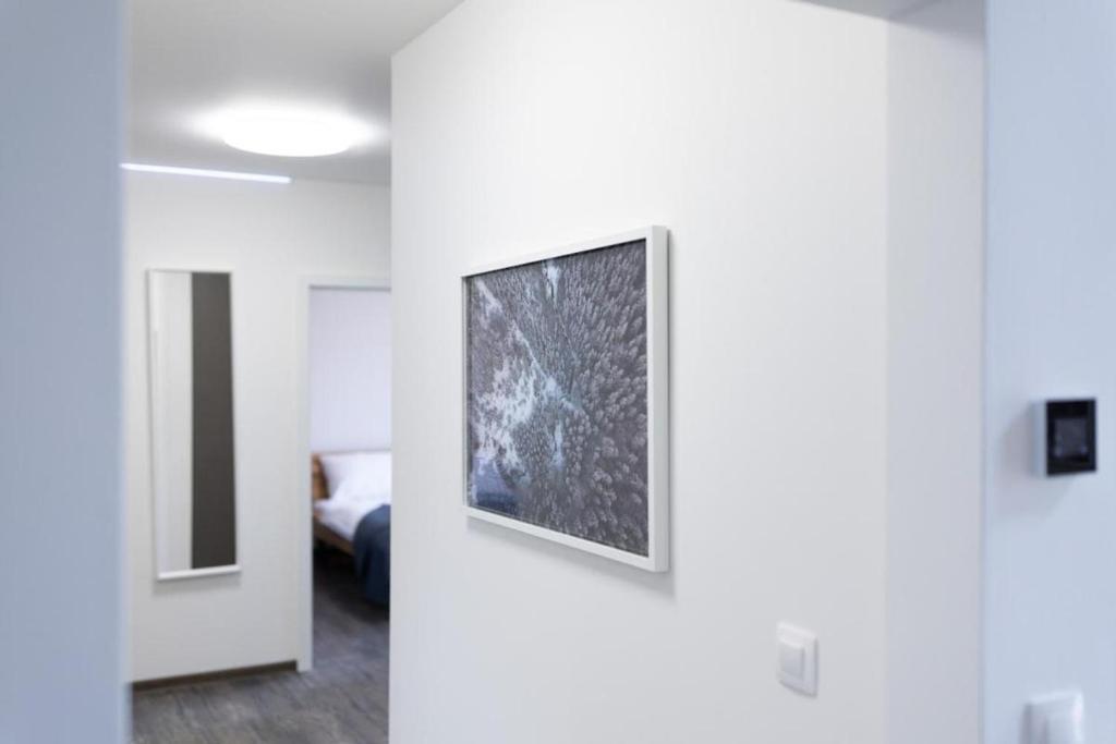 TV a/nebo společenská místnost v ubytování Apartmány u Josífka Velké Losiny