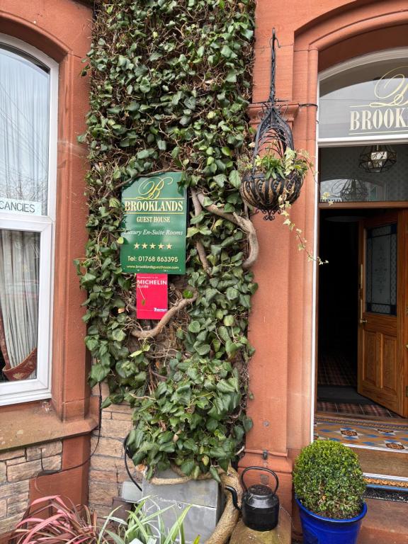 a building with ivy growing on the side of it at Brooklands 5 Star Guest House in Penrith