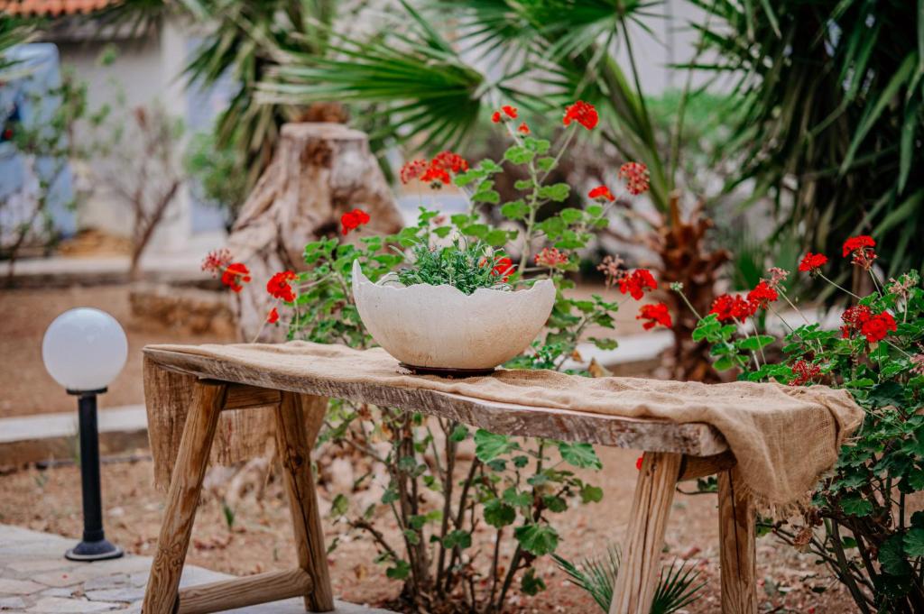 A garden outside Iphigenia Mythic Retreat
