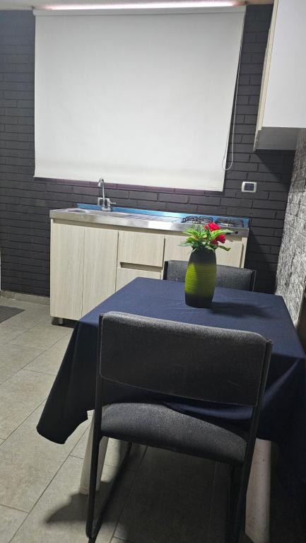 Kuchyň nebo kuchyňský kout v ubytování Roma House N- suite Campin Movistar Ministerios Simón Bolivar