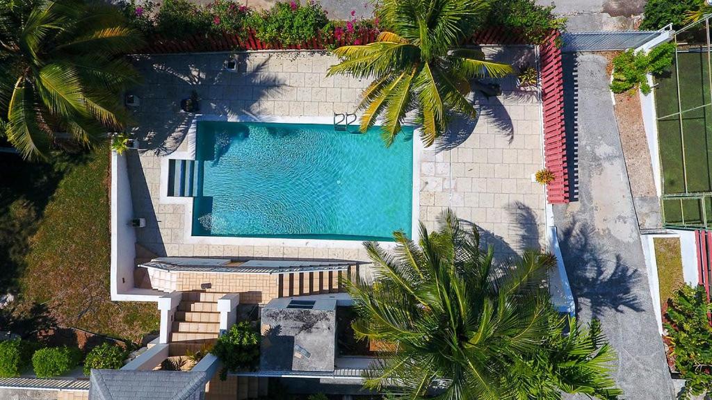 an overhead view of a swimming pool with palm trees at Tangerine Sunsets Alta Vista Studio One in Nassau
