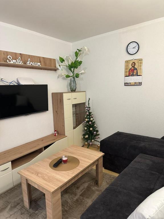 TV a/nebo společenská místnost v ubytování Lily Apartmani Brzece