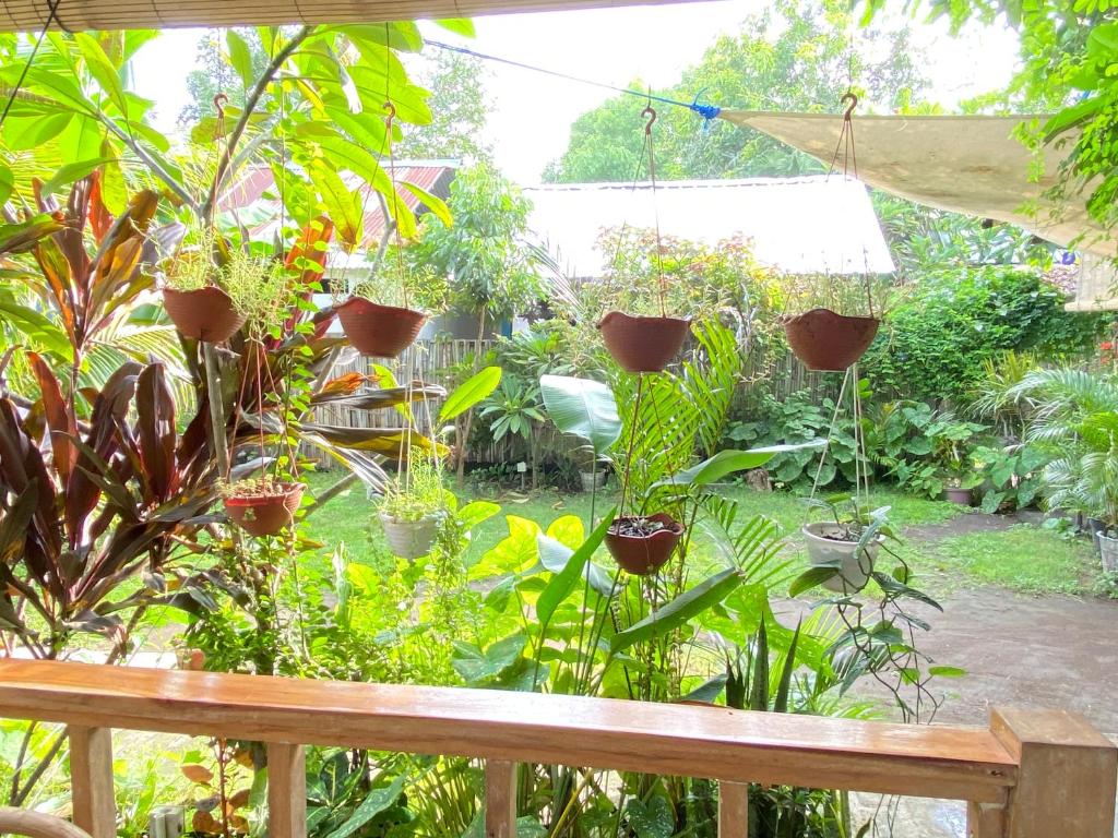 Un jardín fuera de Marta House gili air