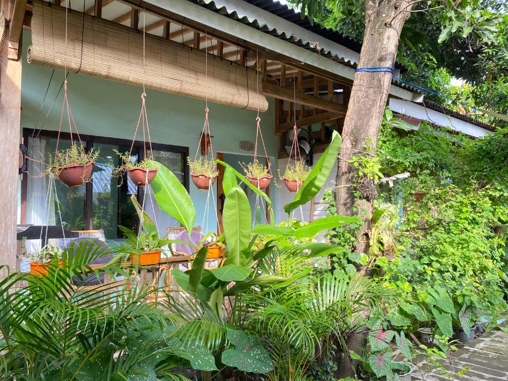 Un jardín fuera de Marta House gili air