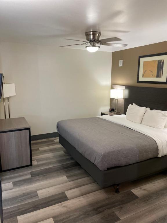 Postel nebo postele na pokoji v ubytování Quality Inn & Suites Goodyear - Phoenix West