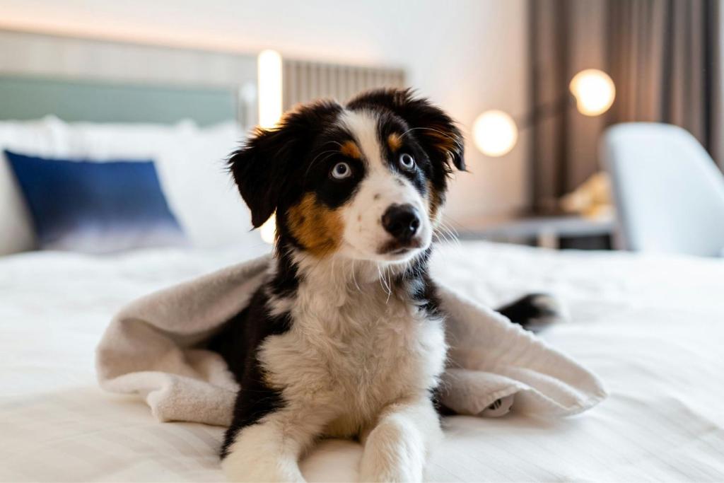 Courtyard by Marriott Berlin City Center - Resim 35