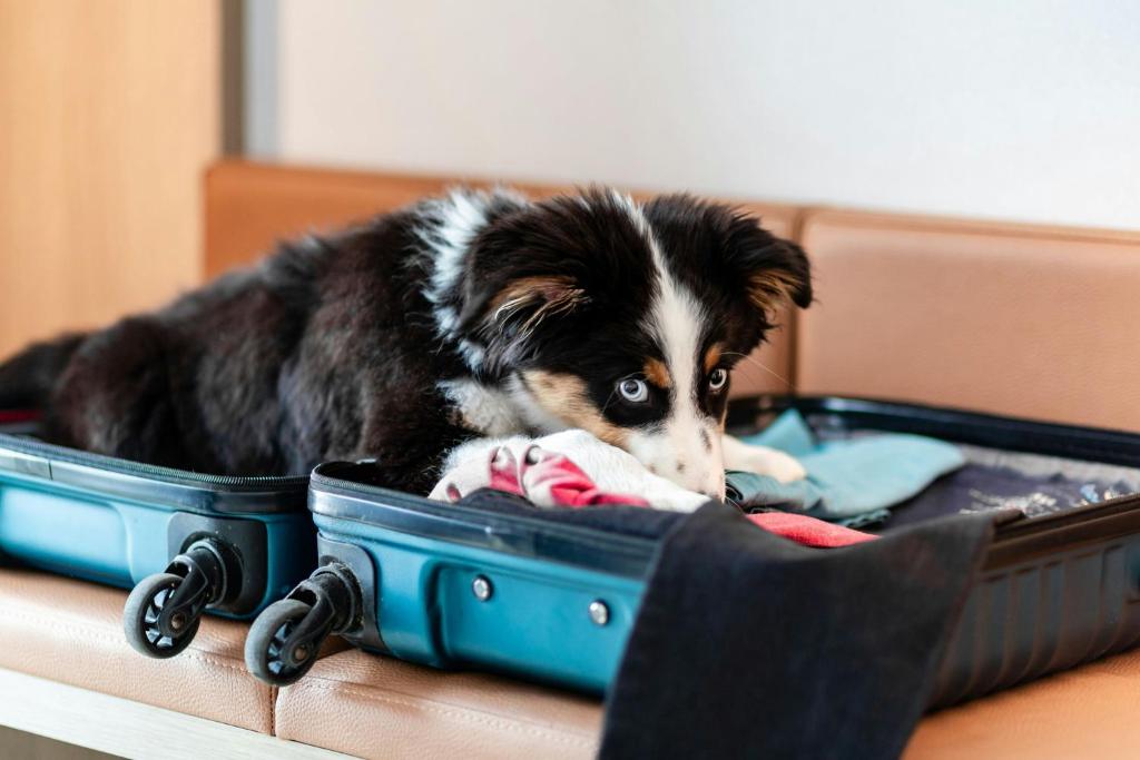 Courtyard by Marriott Berlin City Center - Resim 36