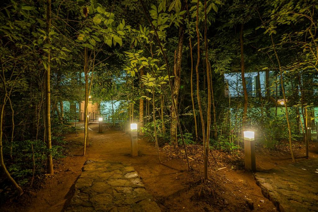Zahrada ubytování Hotel Herb Garden