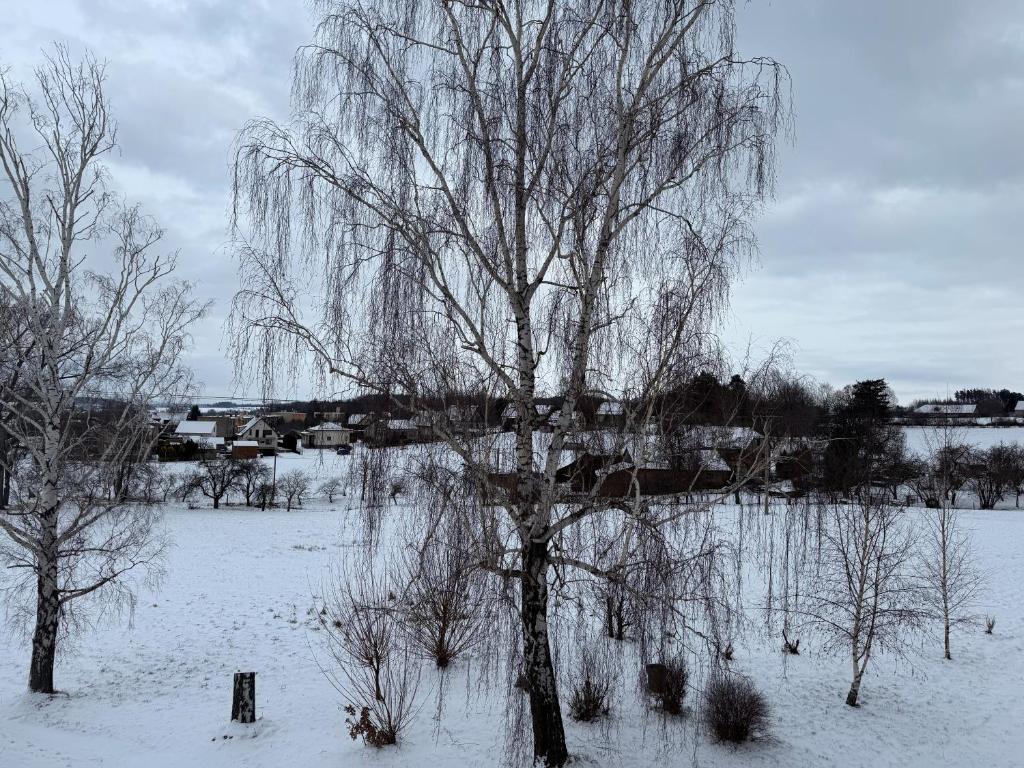 Penzion Na Majlantě v zimě