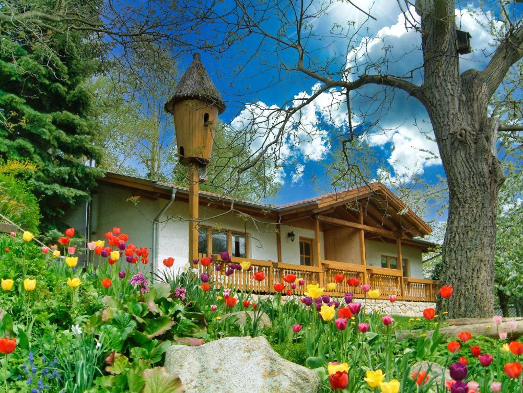 Harzer Feriengarten - Two-Bedroom House