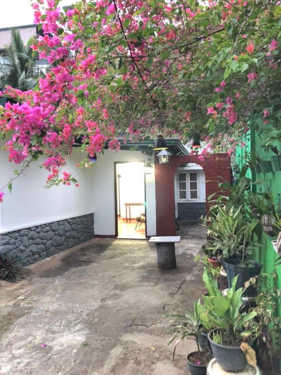 Zahrada ubytování The Haven Kandy