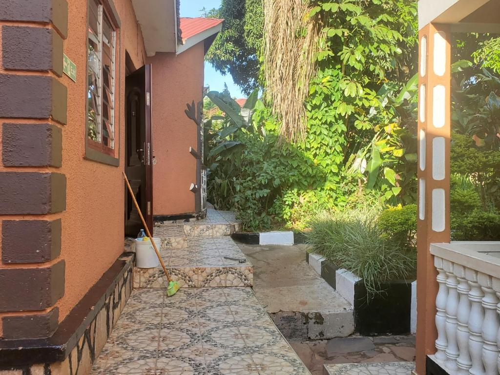 Gorilla African Guest House tesisinin dışında bir bahçe