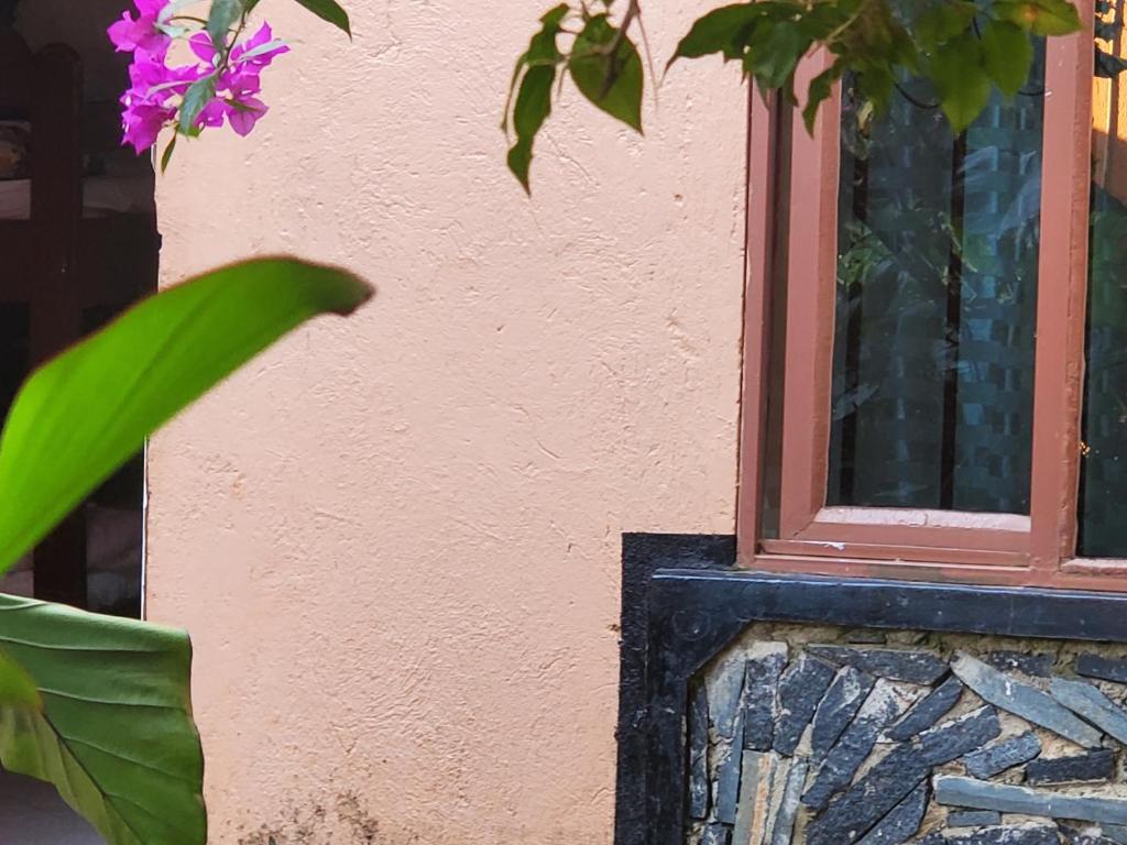 Gorilla African Guest House tesisinin dışında bir bahçe