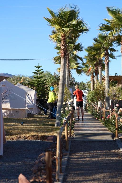 Hosté ubytování Superides Camp