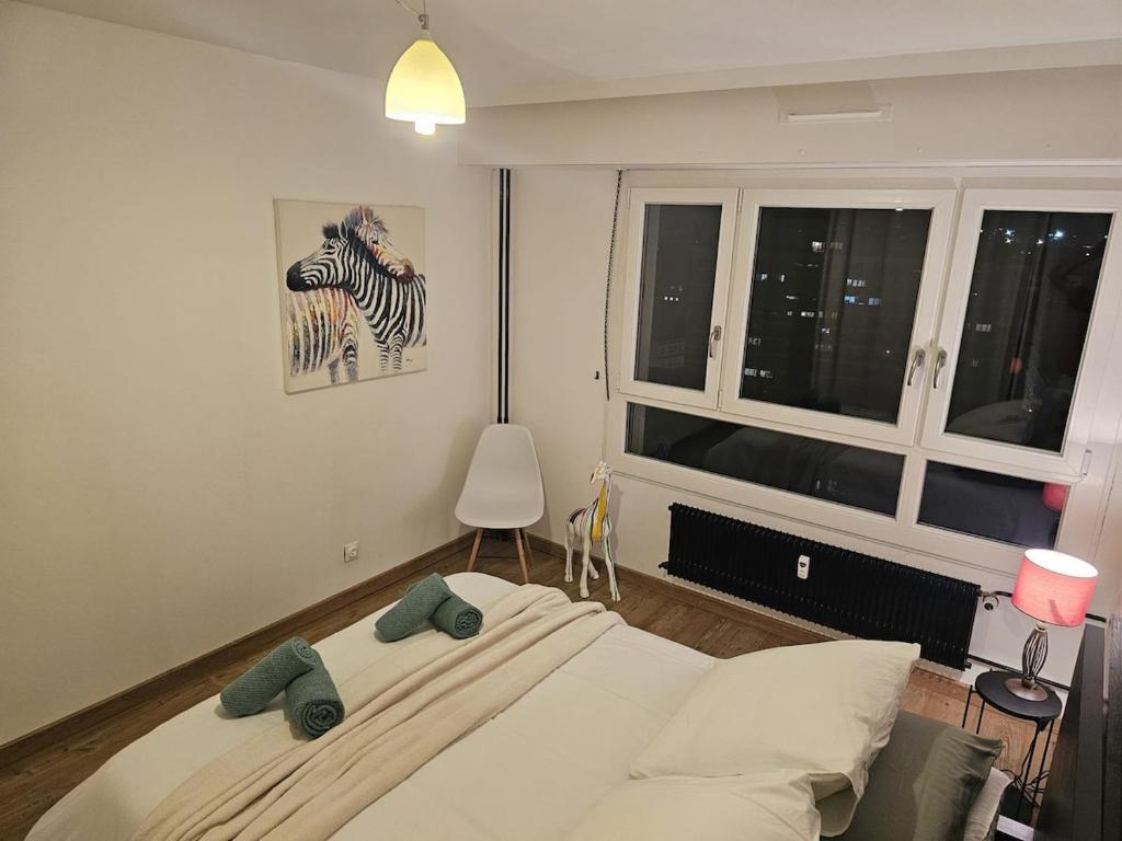 Appartement avec Parking Centre Ville Mulhouse – photo 55