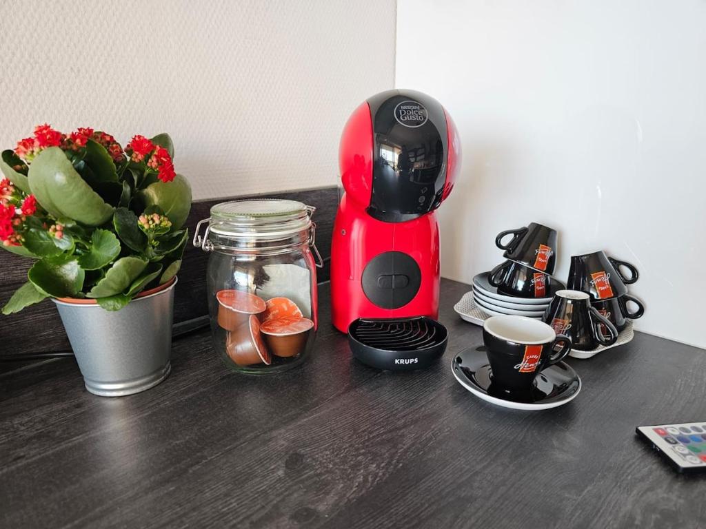 Appartement avec Parking Centre Ville Mulhouse – photo 35