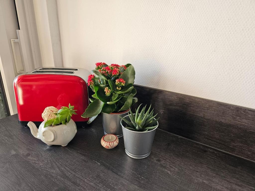 Appartement avec Parking Centre Ville Mulhouse – photo 33