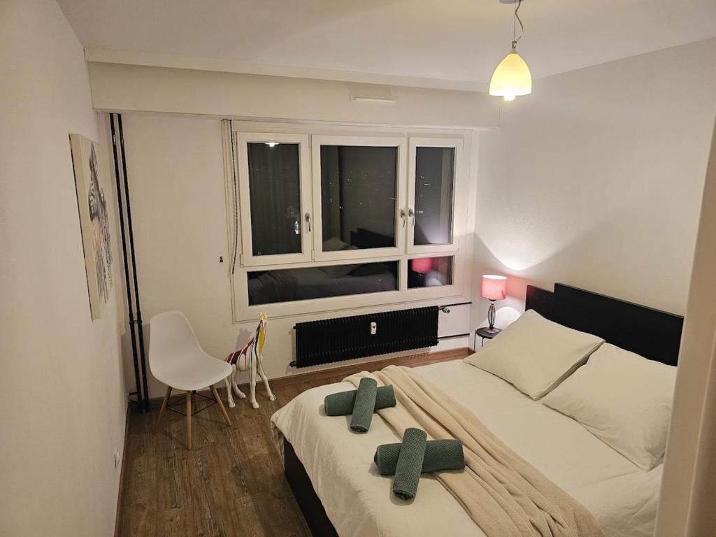 Appartement avec Parking Centre Ville Mulhouse – photo 29