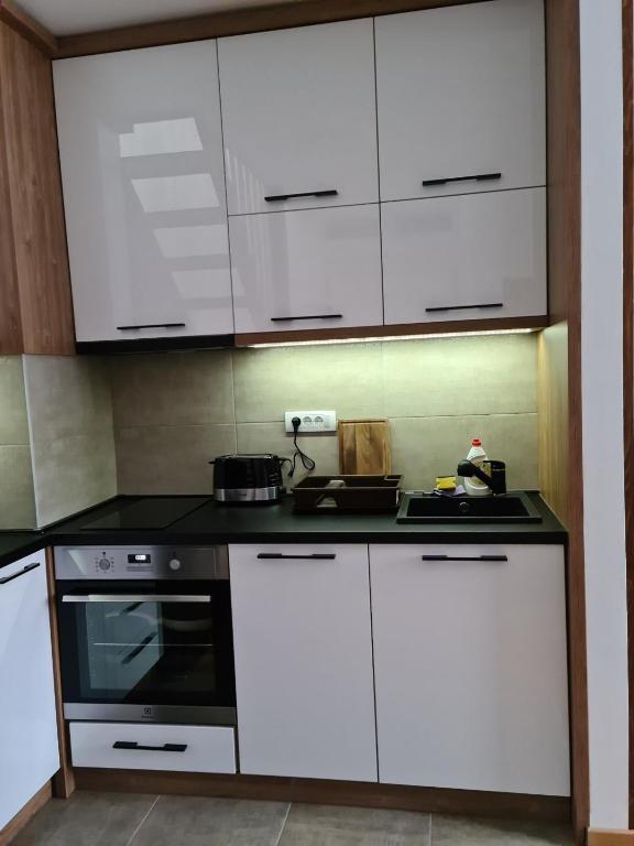 Kuchyň nebo kuchyňský kout v ubytování Apartman Pahuljica Divčigora