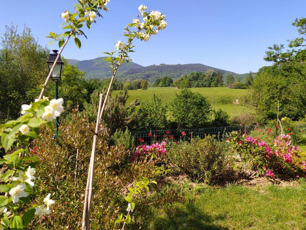 un jardin avec des fleurs roses et blanches dans un champ dans l'établissement Terra Médiane, à Serres-sur-Arget