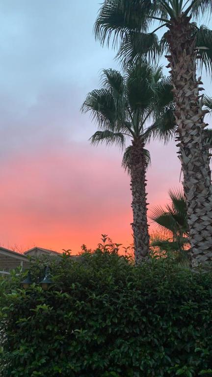 two palm trees with a sunset in the background at Il Giardino della Torre in Torre Maggiore