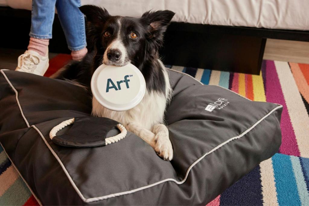 Aloft Dublin City - Resim 41