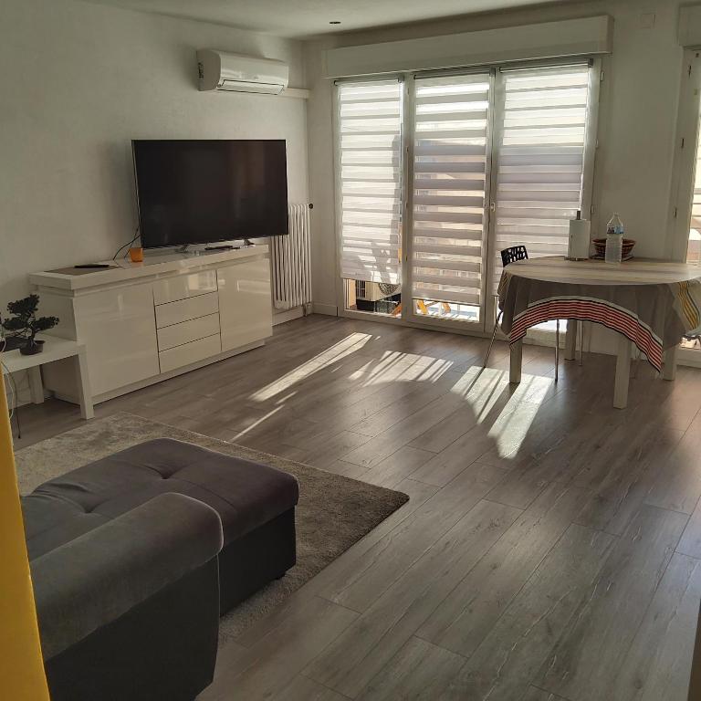 un salon avec une télévision à écran plat et un canapé dans l'établissement Appartement T2, à Albi