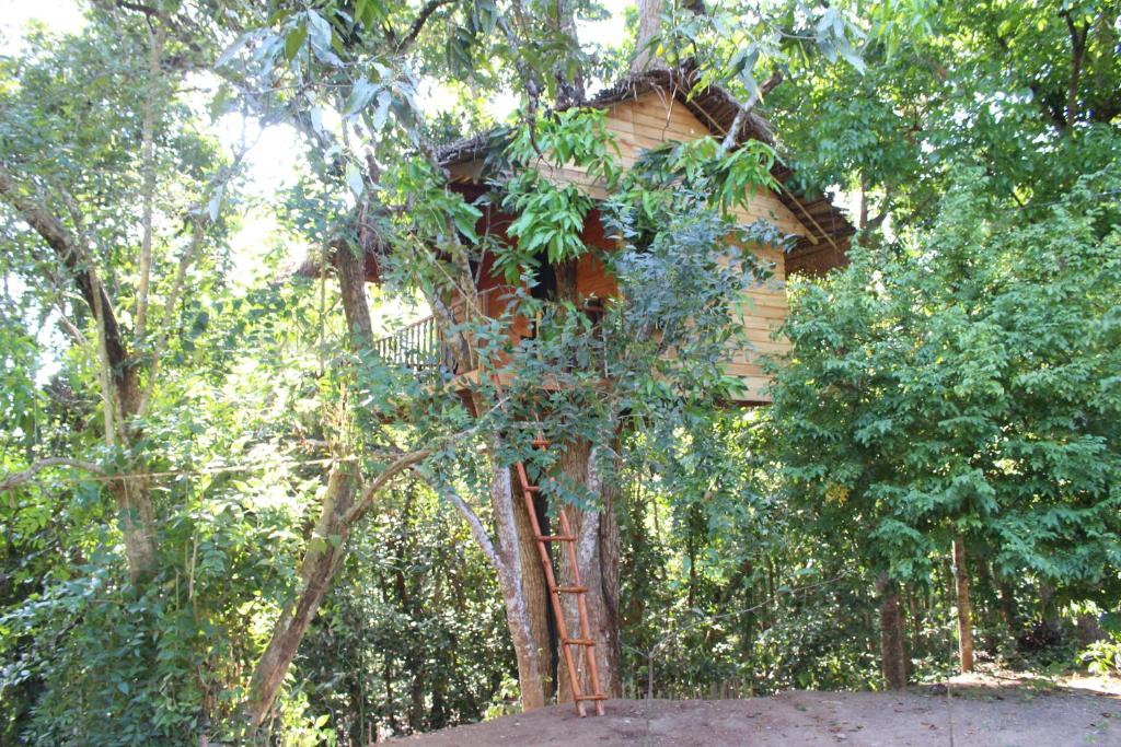 una casa en el árbol en medio de los árboles en Tree House-Midigama, en Weligama