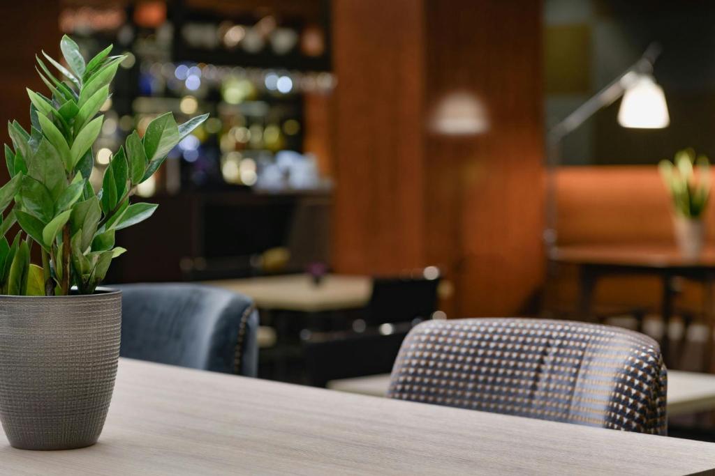 Posezení v ubytování AC Hotel León San Antonio by Marriott