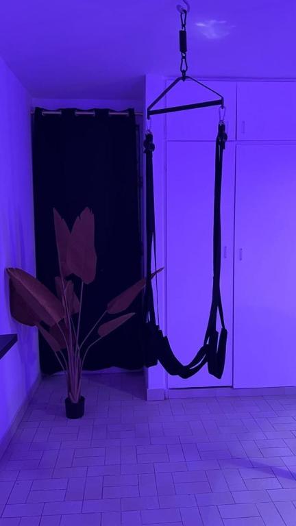 Fotografie z fotogalerie ubytování Aphrodite #Love Room# v destinaci Pointe-à-Pitre