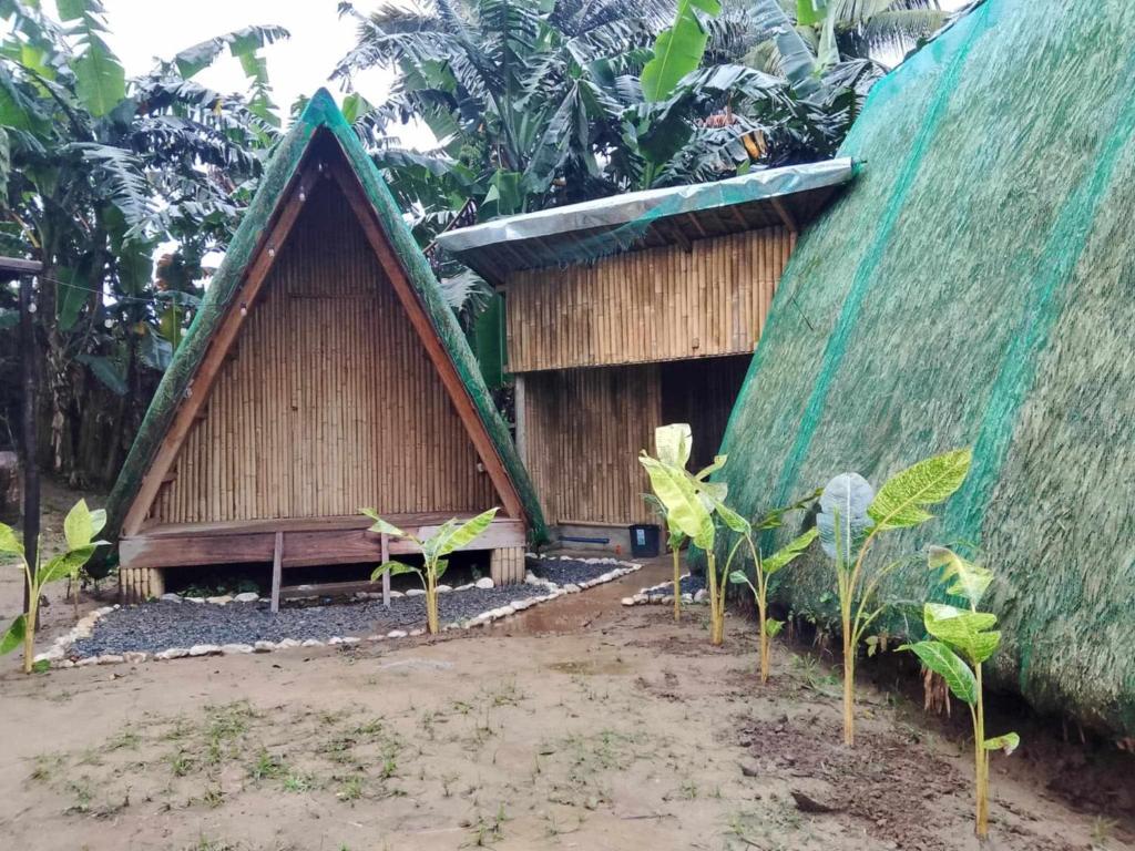 Zahrada ubytování Camp Irog Daraitan