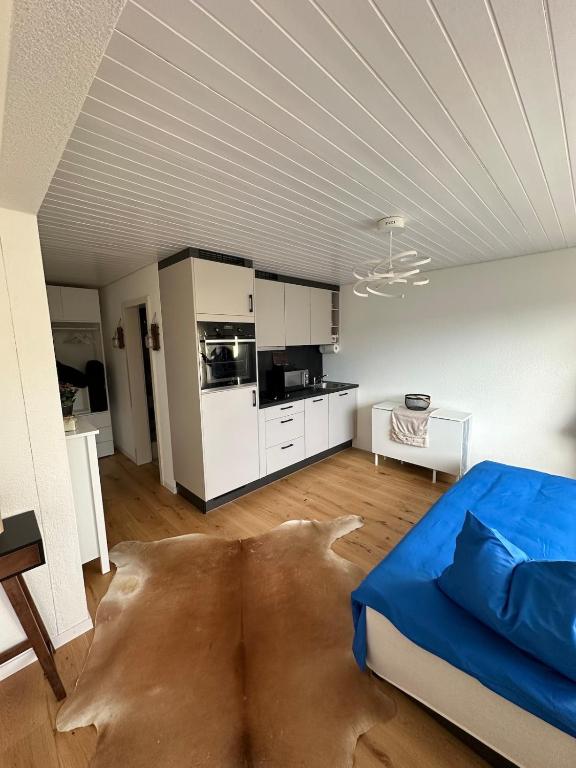 Kuchyň nebo kuchyňský kout v ubytování Gästehaus MaryVitty, zentrale zwischen Aarau und Olten, gut verbunden