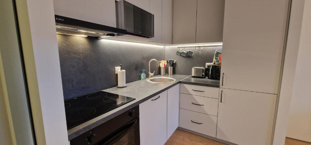 Kuchyň nebo kuchyňský kout v ubytování Comfortable Apartment Gerbera Tallinn