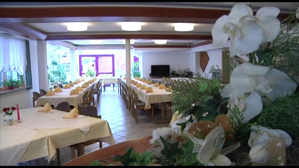 Restaurace v ubytování Gasthof Traube