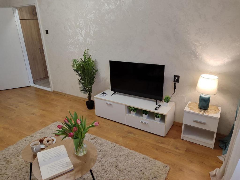 TV a/nebo společenská místnost v ubytování Narva Vahtra Apartment