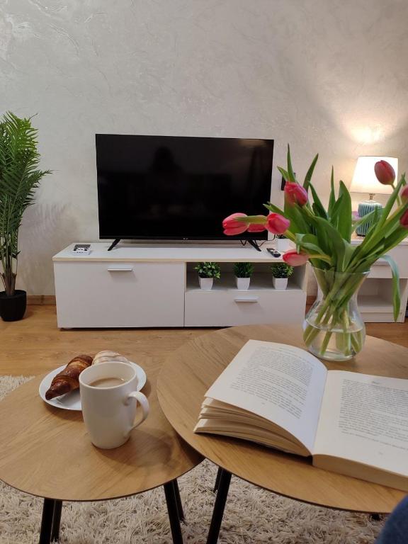 TV a/nebo společenská místnost v ubytování Narva Vahtra Apartment