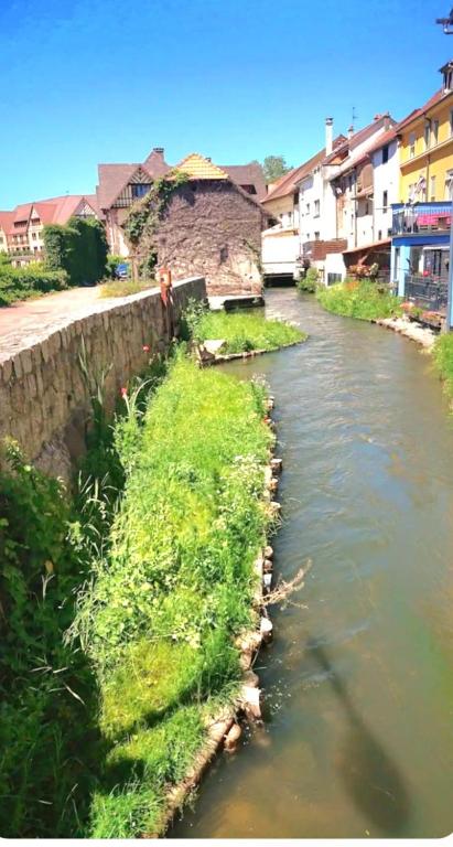 L'Atypique des Remparts – photo 12
