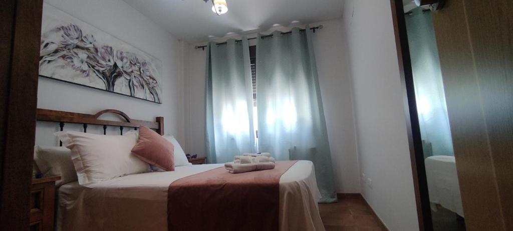 Alojamientos Puerta del Parque - 11