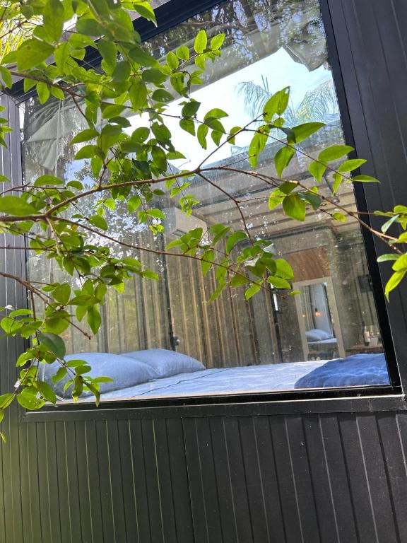 Fotografie z fotogalerie ubytování Tree House v destinaci Balneário Camboriú