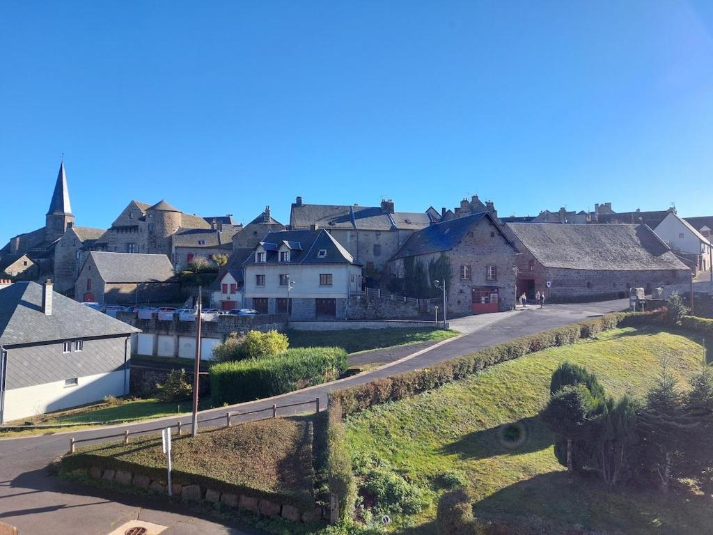 un village avec une rue et un mouton sur une colline dans l'établissement Appartement en plein cœur du Massif du Sancy, à Besse-et-Saint-Anastaise