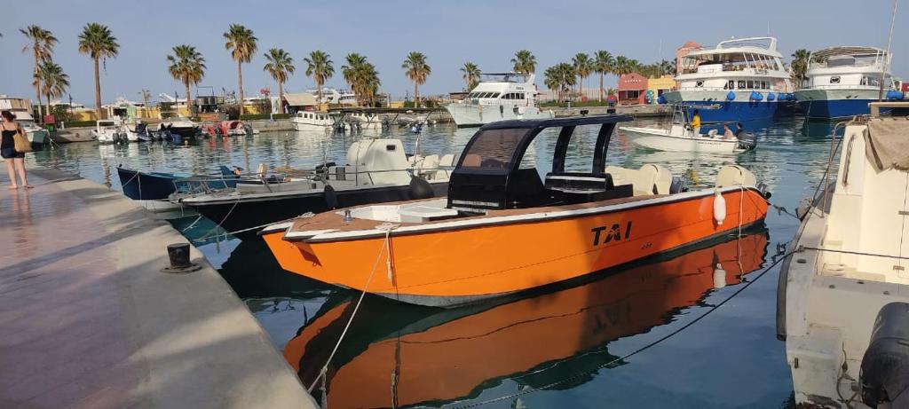 an orange boat is docked in a harbor at Tai orange bay Island- Paradis Island- Dolphin - hula hula Island - Magawish island-etc in Hurghada