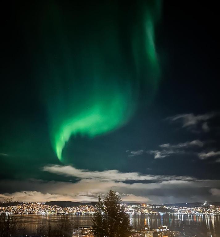 Příroda nedaleko apartmánu