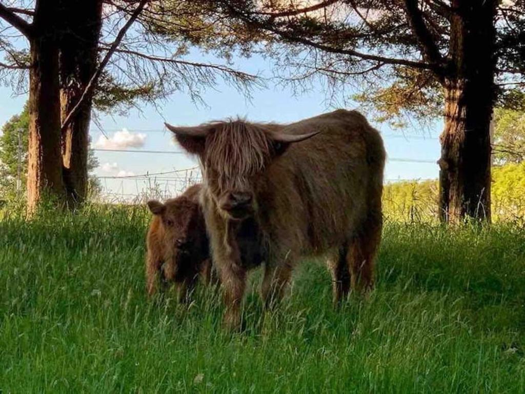 Boutique Country Retreat -Outdoor bath - Resim 18