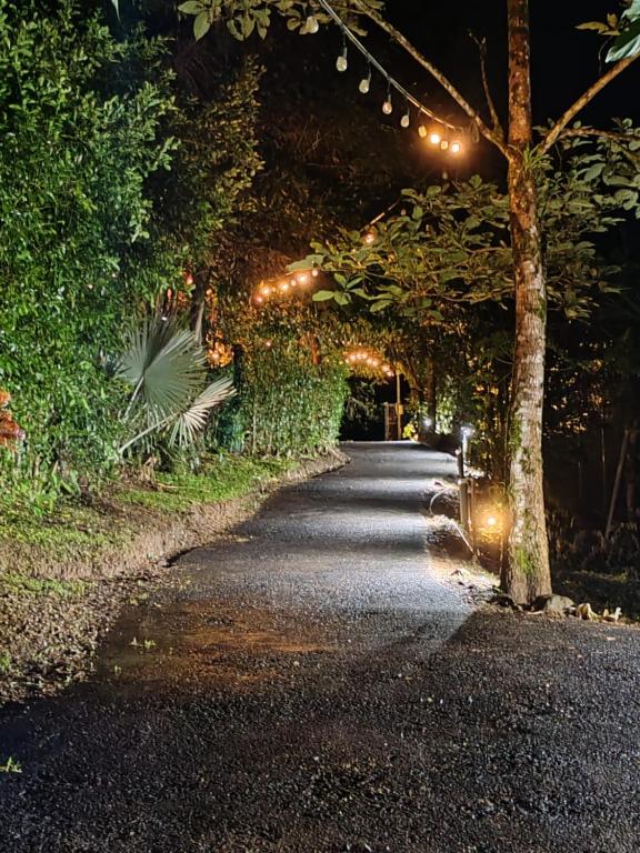 Zahrada ubytování Momotus Glamping