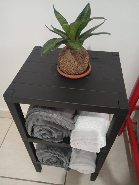 Fotografie z fotogalerie ubytování Copey house Chiriquí, vía hacia Volcán v destinaci La Concepción