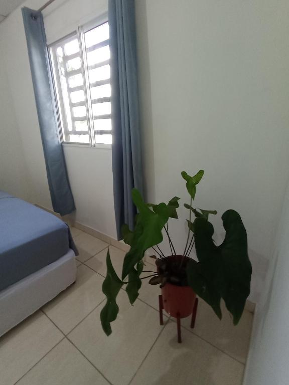 Postel nebo postele na pokoji v ubytování Copey house Chiriquí, vía hacia Volcán