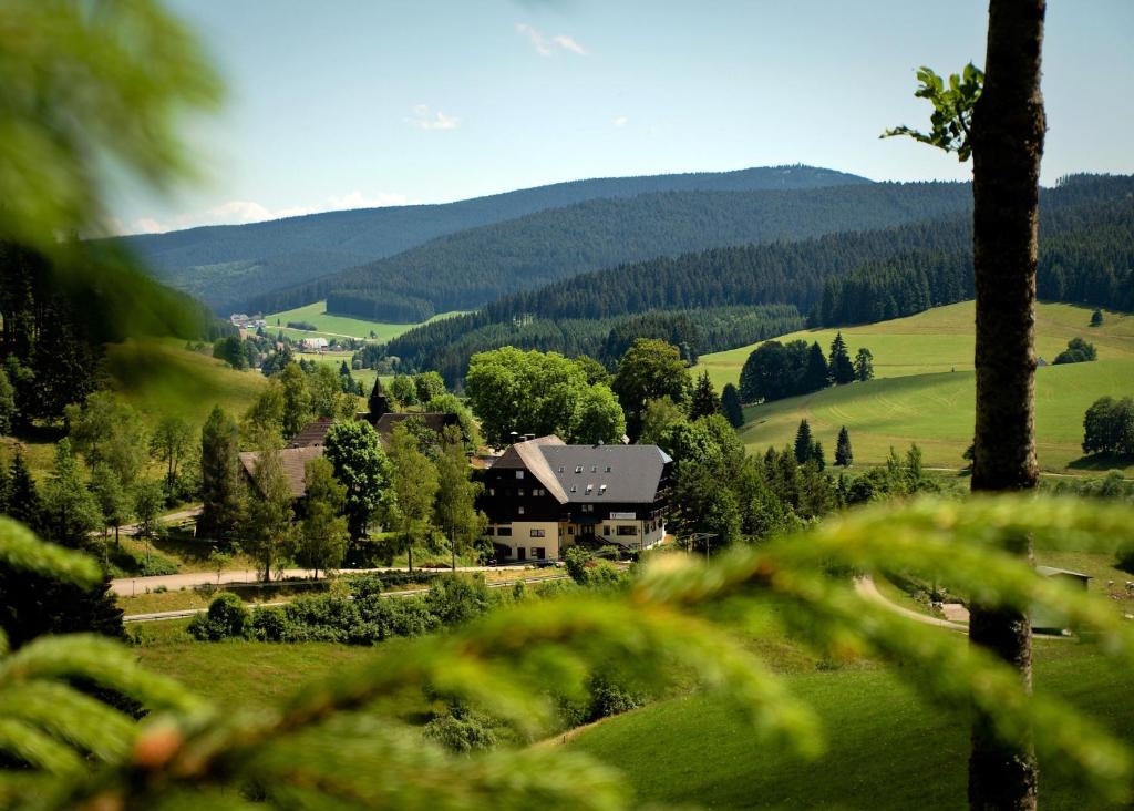 a house in the middle of a green valley at Kuckucksnest Jostal in Titisee-Neustadt