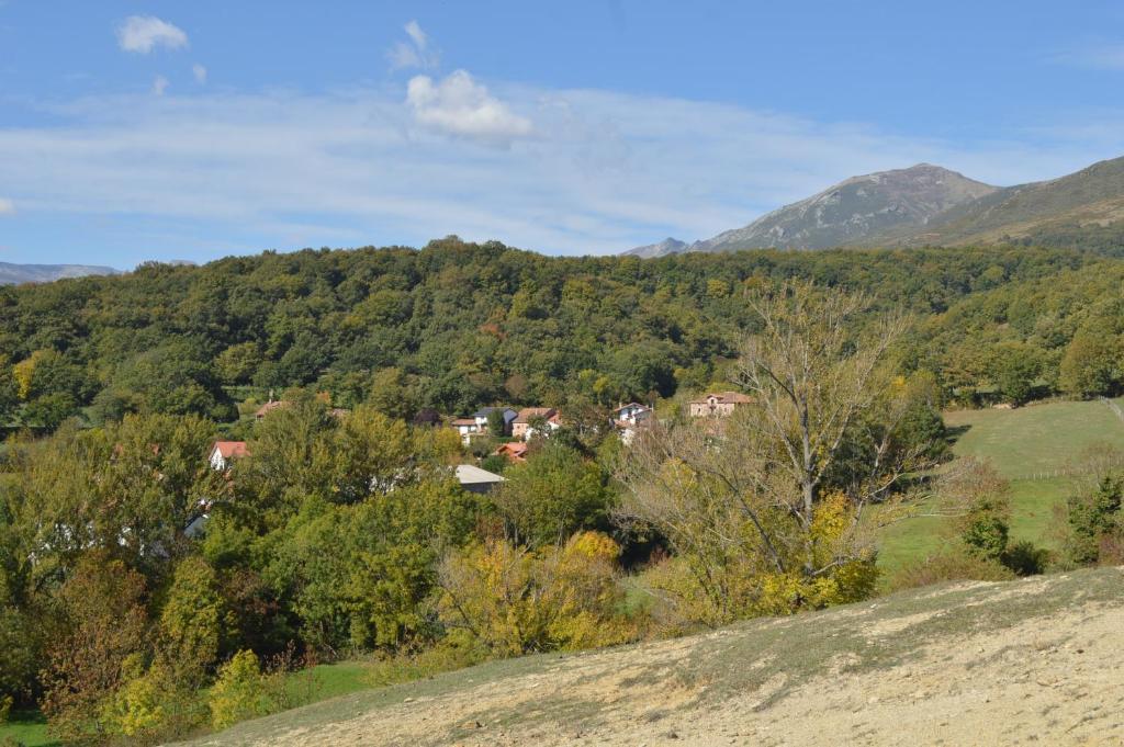 Príroda v okolí hostela