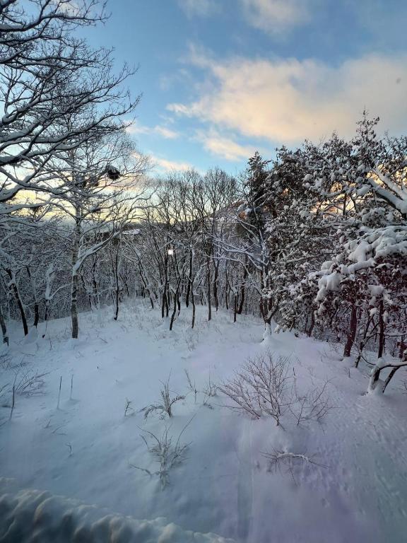 冬のKASASAGI Lodge, Madaraoの様子